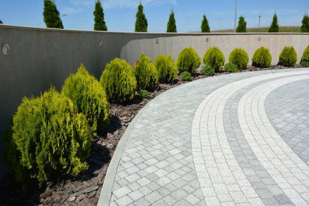 Best Brick Driveway Pavers  in Babson Park, FL